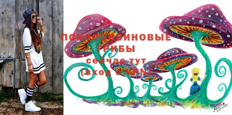 наркошоп  Шарыпово  Галлюциногенные грибы Psilocybine cubensis 